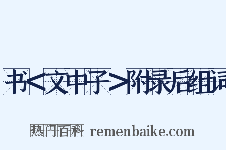 书＜文中子＞附录后组词是什么意思的图片